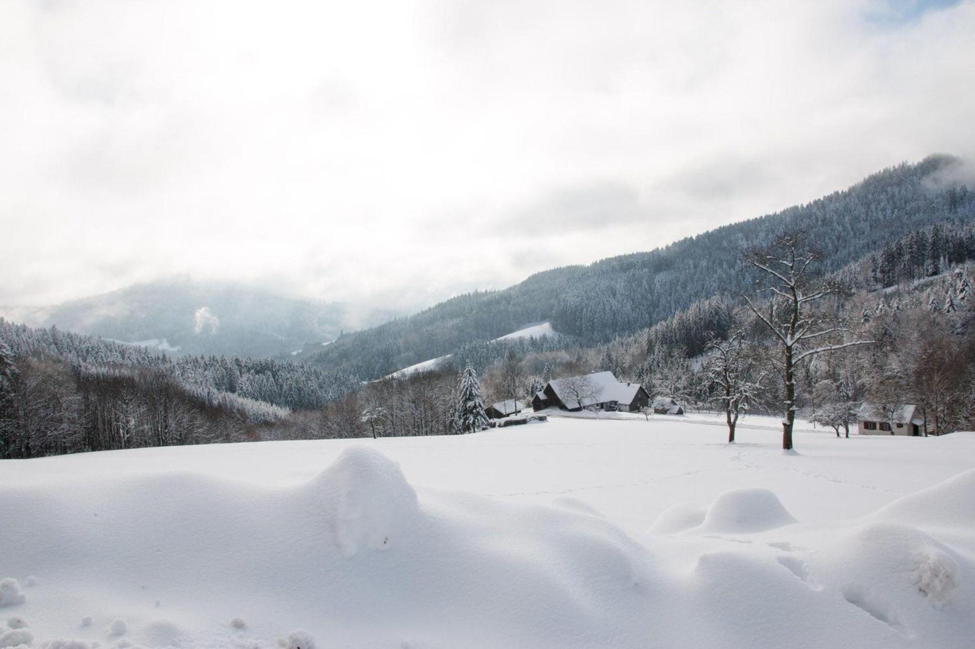 Ferienwohnung Am Kapellenberg - Am Rande Des Nationalparks Schwarzwald باد بيترستال غريسب المظهر الخارجي الصورة
