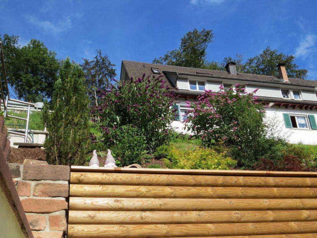 Ferienwohnung Am Kapellenberg - Am Rande Des Nationalparks Schwarzwald باد بيترستال غريسب المظهر الخارجي الصورة