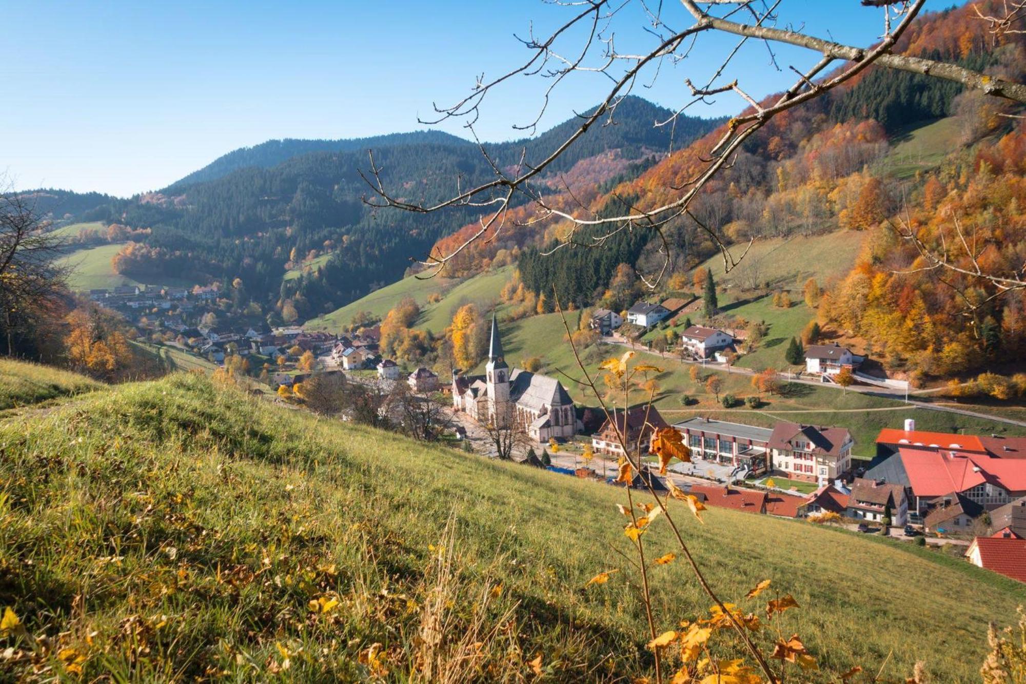 Ferienwohnung Am Kapellenberg - Am Rande Des Nationalparks Schwarzwald باد بيترستال غريسب المظهر الخارجي الصورة