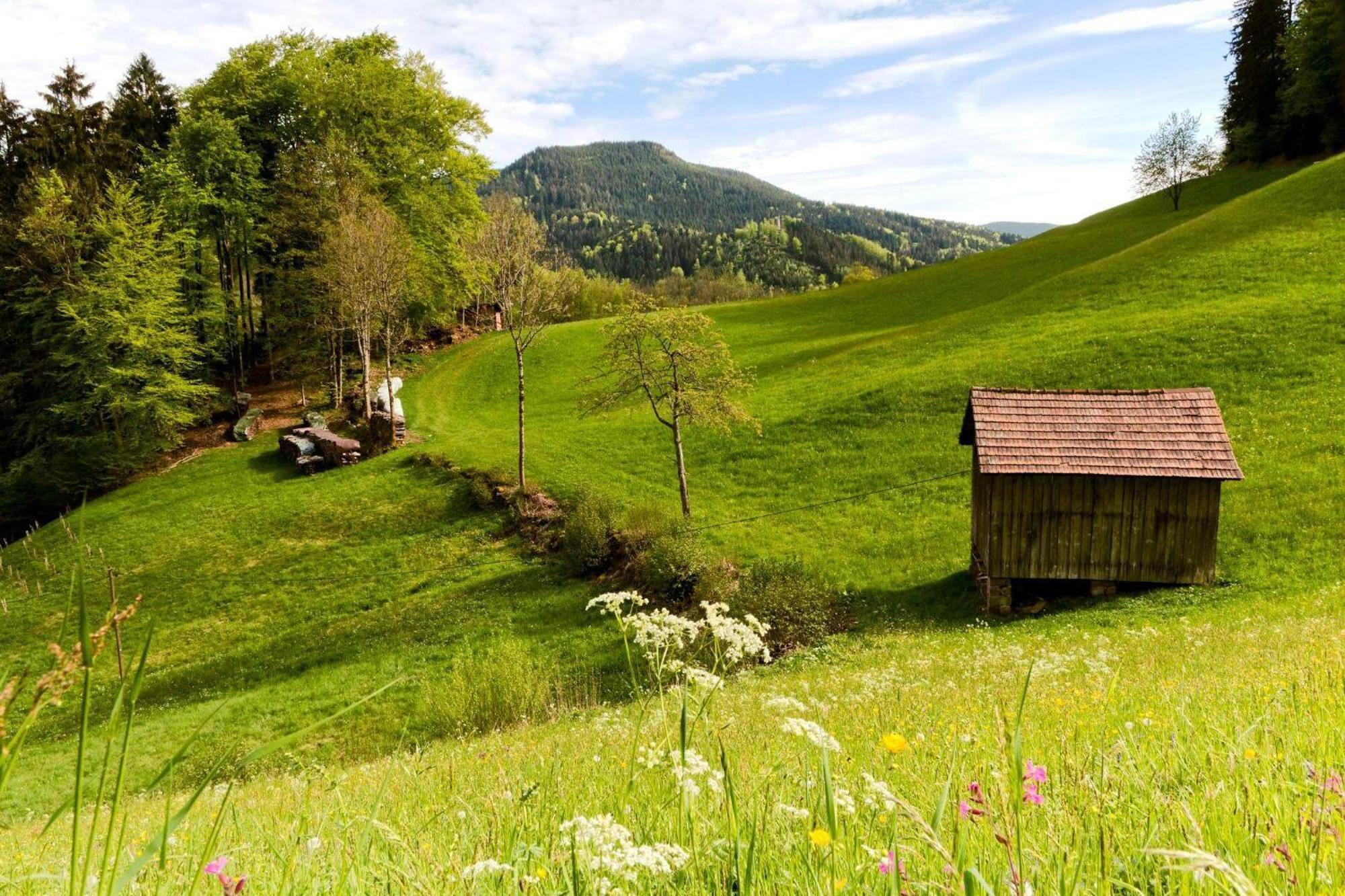 Ferienwohnung Am Kapellenberg - Am Rande Des Nationalparks Schwarzwald باد بيترستال غريسب المظهر الخارجي الصورة