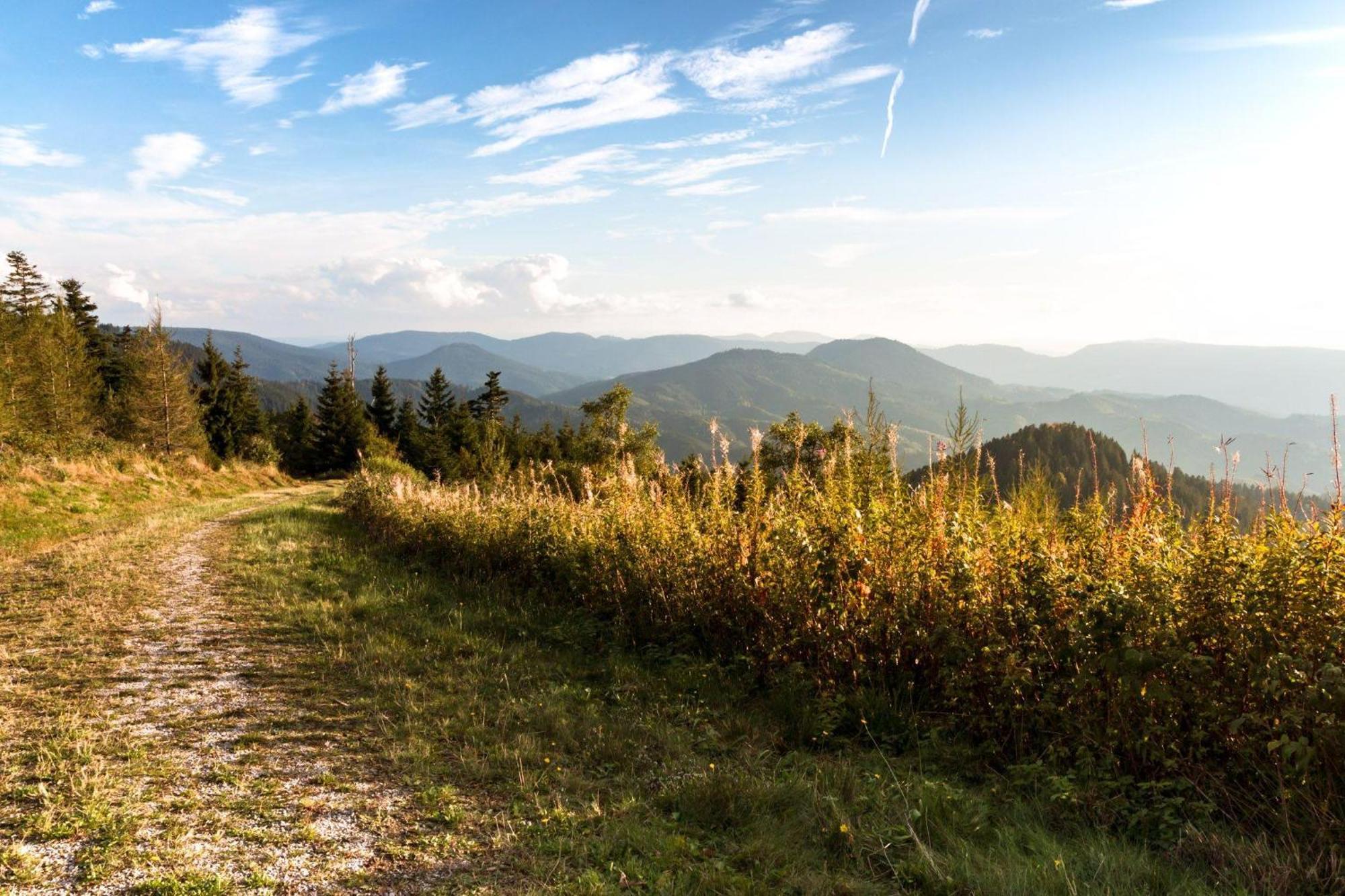 Ferienwohnung Am Kapellenberg - Am Rande Des Nationalparks Schwarzwald باد بيترستال غريسب المظهر الخارجي الصورة